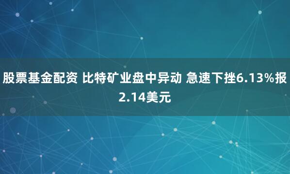股票基金配资 比特矿业盘中异动 急速下挫6.13%报2.14美元